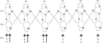 Effects of Mechanosensory Input on the Tracking of Pulsatile Odor Stimuli by Moth Antennal Lobe Neurons